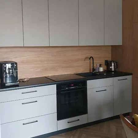 公寓 53 Dlugie Ogrody 格但斯克